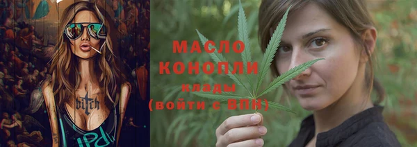 индика Нефтекумск