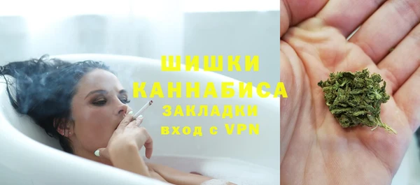 МДПВ Нефтегорск
