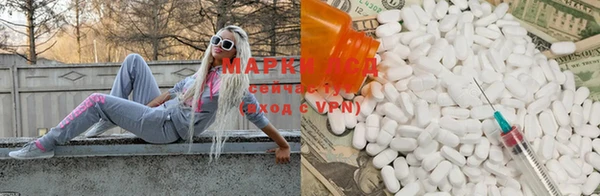 индика Нефтекумск