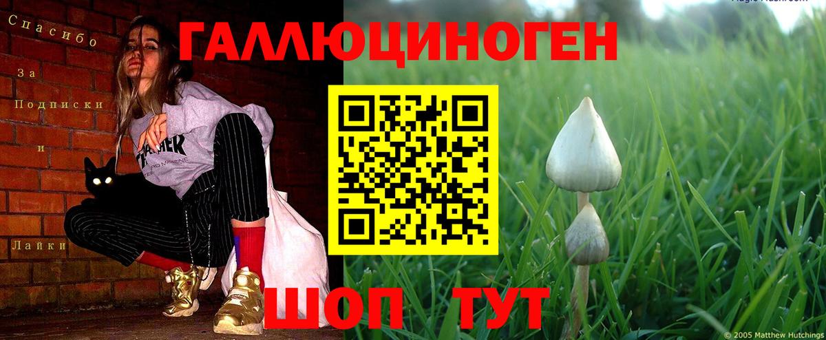Владикавказ  Псилоцибиновые грибы ЛСД  Вход с VPN 