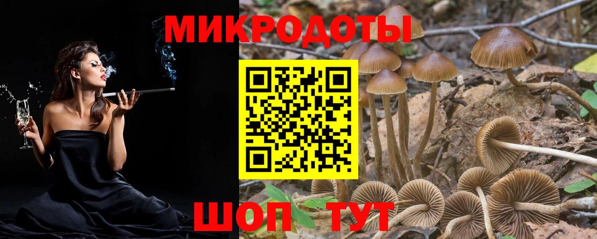 Галлюциногенные грибы Psilocybe Владикавказ