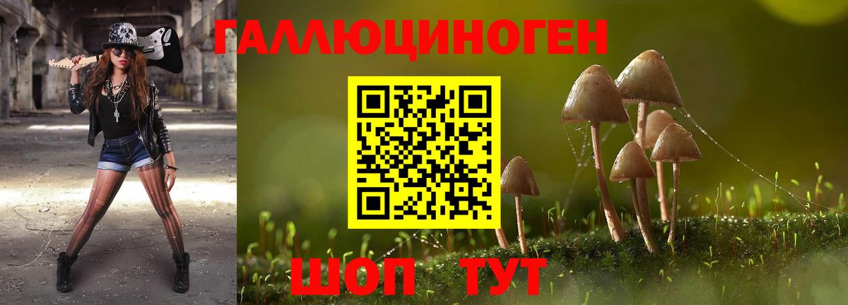 Псилоцибиновые грибы мицелий  Владикавказ 